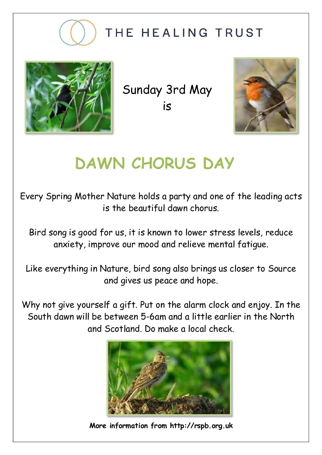 Dawn_Chorus_leaflet