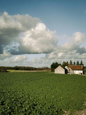 French countryside