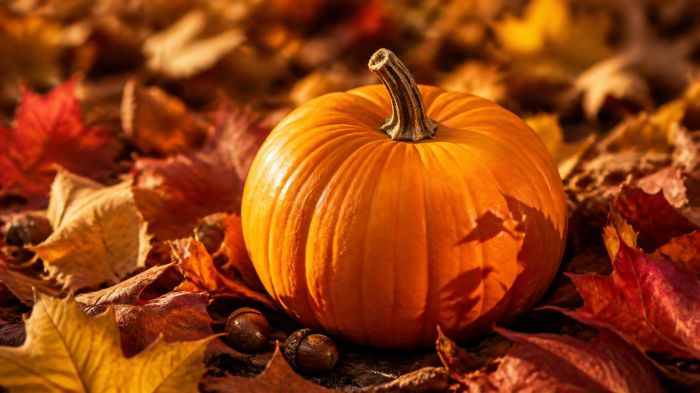 october pumpkin (1)